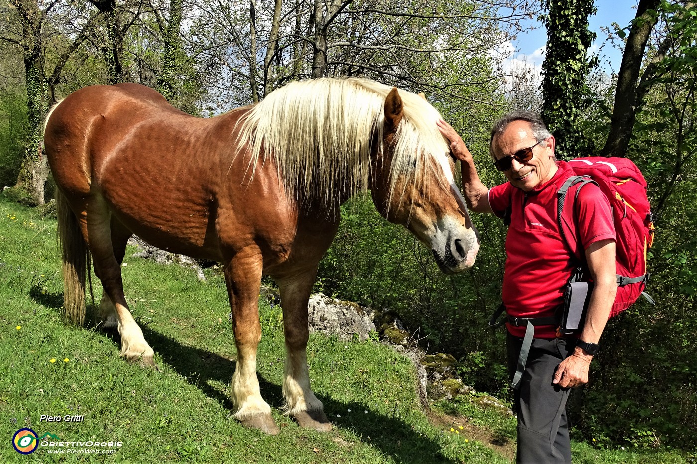 123 Una carezza....JPG